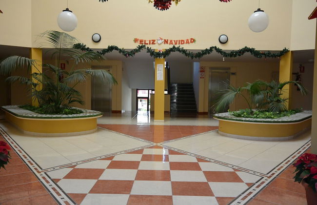 Olivia Sunbeach - Photo 3