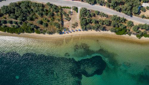 Effie's House - Foto 4