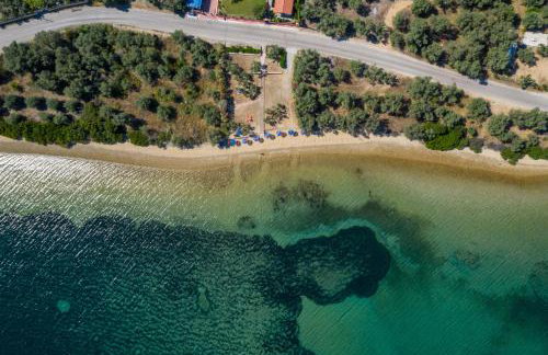 Effie's House - Foto 4