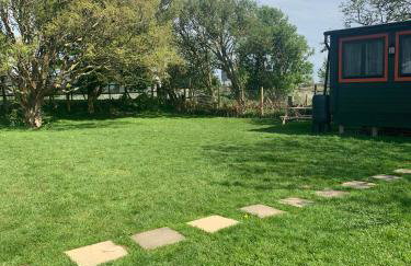 Walland Cottage Romney Retreat - Photo 29