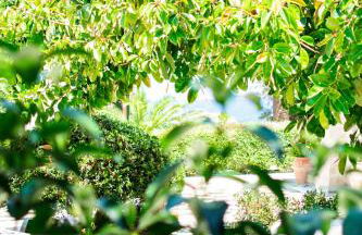 PANORMUS Luxury House - Photo 15