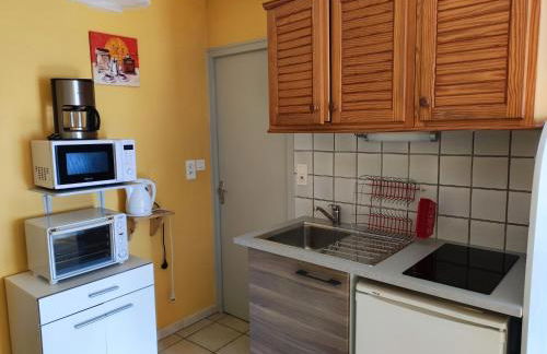 Résidence L'Alexandra 2 étoiles - Foto 72