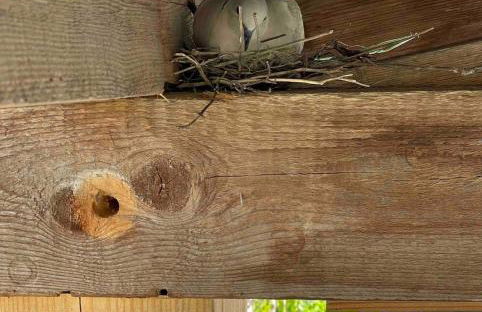 Gîte champenois les voisins - Foto 9