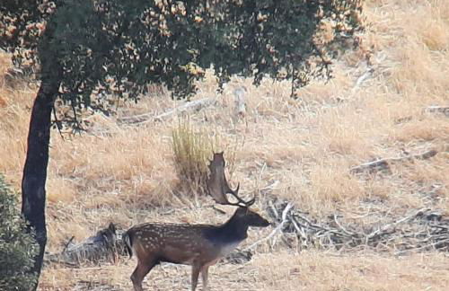 Casa Rural Albahaca - Foto 7