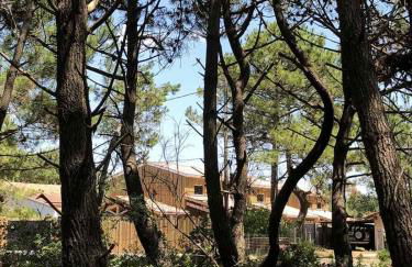 Chalet Bois Baobab 5 min à pieds de l'océan - Foto 15