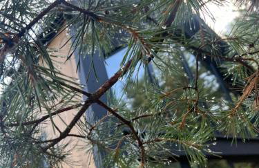 Zakątek Lipowy Most - Photo 2