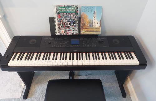 David's Fun House - Foto 45