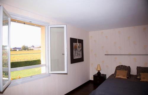 Domaine de la Noiseraie - Foto 18