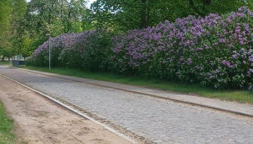 Zimmer und Apartment Rosi - Photo 3