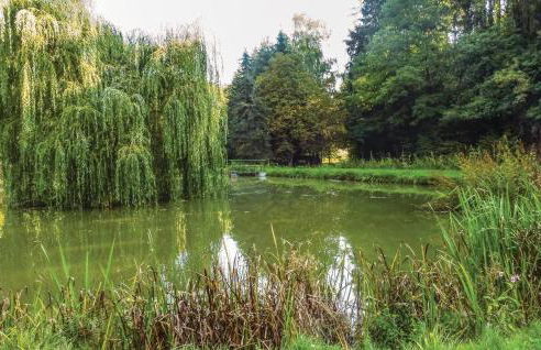 2 Bedroom Nice Home In Schlitz-Rimbach - Foto 22