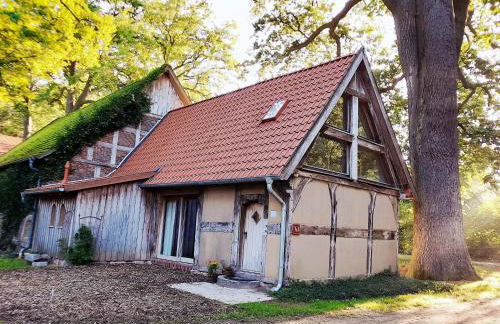 Gästehaus auf idyllischem Fachwerkhof im Dümmer-Weserland, Sauna optional - Foto 15