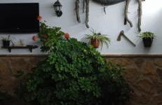 Casa Cueva El Almendro - Foto 16