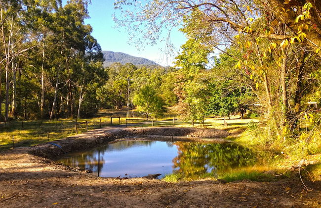 Valley Farm Vineyard Cottages - Foto 58