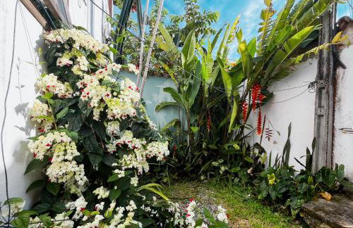 Casa beira de rio - Foto 8