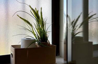 Sítio Do Louro Villa - Photo 42