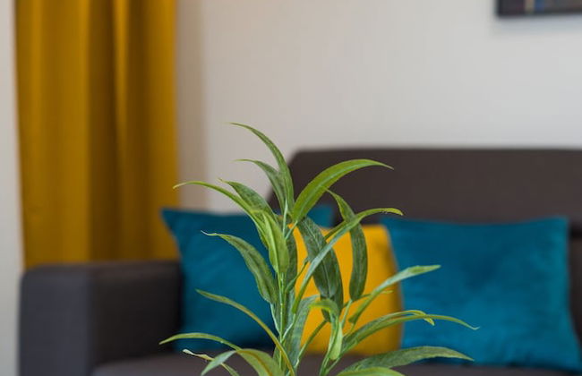 Apartments Mare B with pool - Photo 47