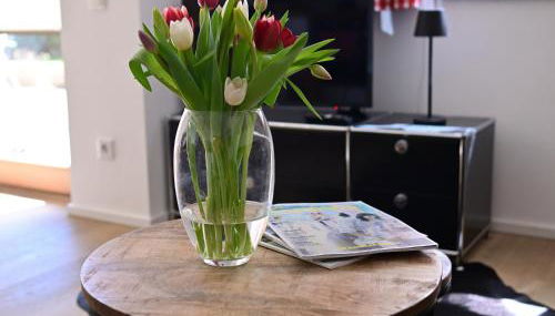 FEWO RISSERKOGEL das Original mit großem Garten - Foto 3