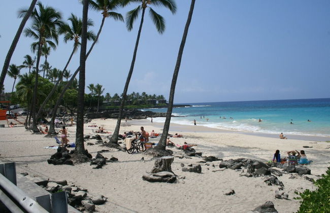 Kona Bali Kai 317 - Oceanfront 2 Bedroom Condo by RedAwning - Foto 20