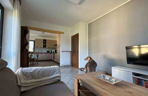 Valtellinda - Foto 6