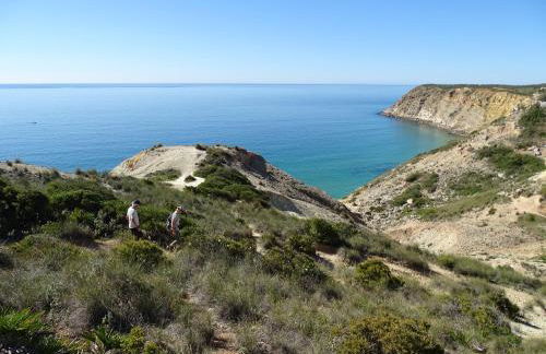 Casa Afonso Henriques - Foto 41