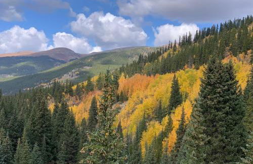 Lodge on Leiter with hot tub! - Foto 33