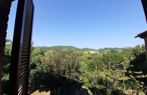 Villa Le Palmine - Foto 1