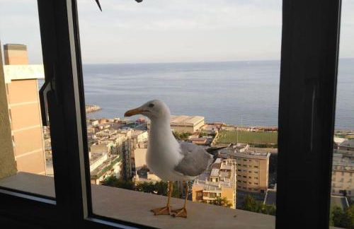 la finestra sul mare - Foto 26