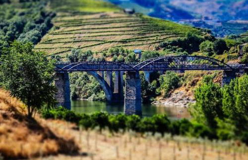 Regouro - an Hidden Gem in Douro Valley - Foto 37