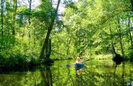 JANISCHs Fewo im Spreewald, Terrasse, großer Garten und Blick inklusive - Foto 19