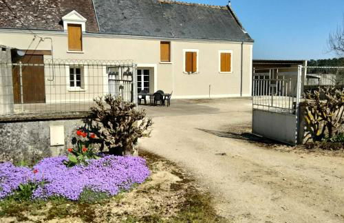 Maison dans les vignes - proche Chenonceau Beauval - Foto 3