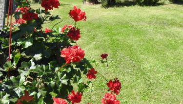 Chez Mamie - Photo 4