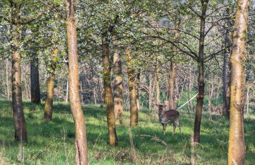 Agriturismo I Leprotti - Photo 43