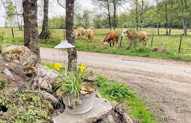 8 Person Holiday Home in Hestra-by Traum - Foto 33