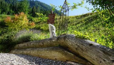 Staller Hof inkl. Chiemgaukarte - Foto 3