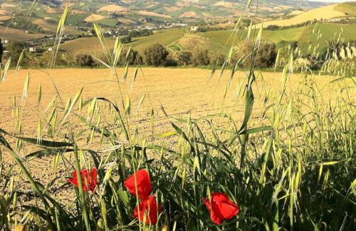 Agriturismo Casa Rosa - Foto 22