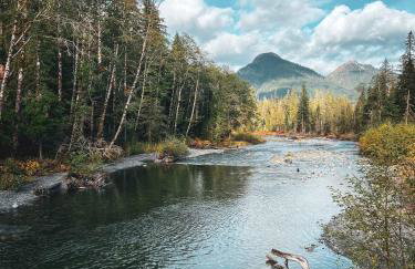 Stilly River Haus - Hot tub - Firepit - Fireplace - Foto 35