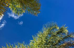 Casa em Pardinho Ninho Verde II - Photo 6