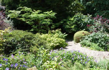 Willow Cottage - Foto 37