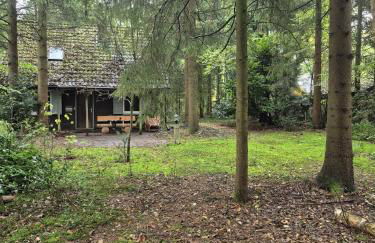 Idyllisch & ruhig - gemütliches Ferienhaus im Wald Hunde willkommen, in Hatten, nahe Oldenburg - Foto 53