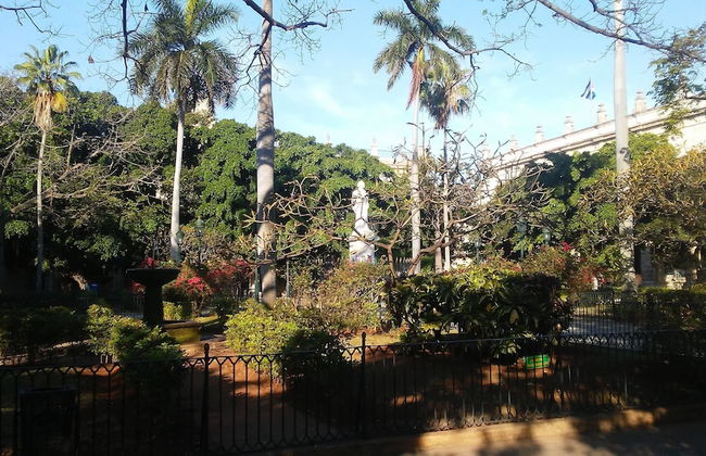 Apartment in Havana with terrace - Photo 36