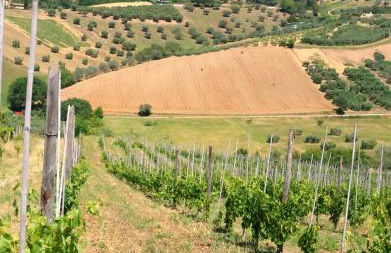 Terra di Ea - Foto 51