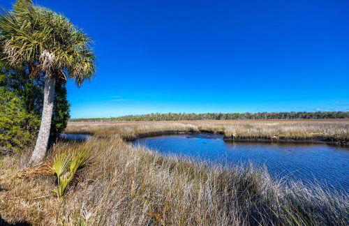 Weeki Wachee House - Charming Home with Heated Pool, A Nature Lover's Paradise! - Foto 13