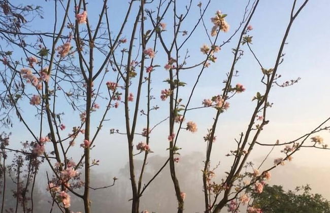 Abington Farm - Foto 45