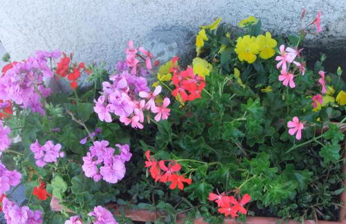 Gîte Les Grands Champs - Foto 42