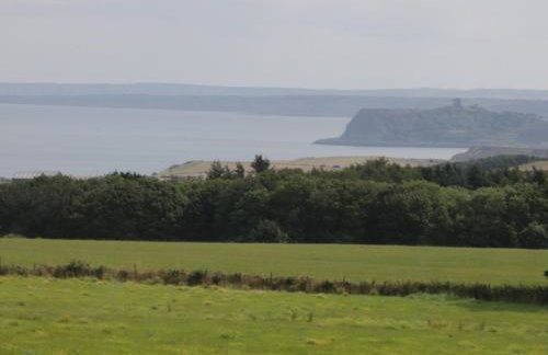 Castle View Cabin - Foto 17