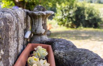 Quinta da Comenda - Foto 58