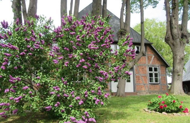 Lubeck Comfortable Holiday Residence - Foto 25