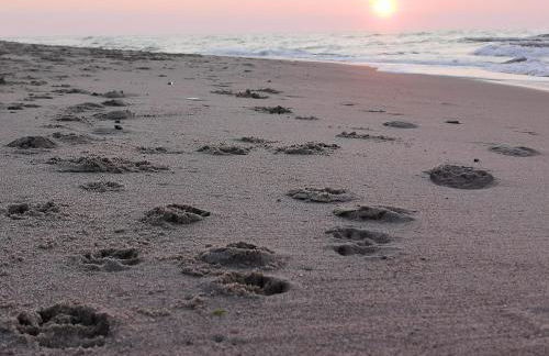 Hof am Meer "Seeperle" - Foto 22