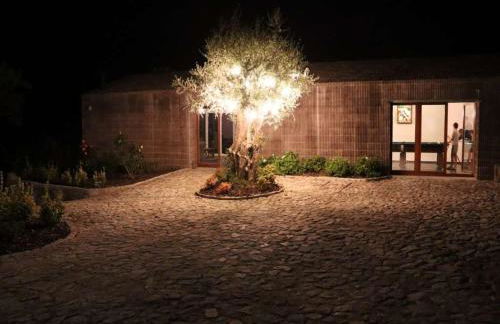 Amazing Viana Do Castelo Villa 6 Bedrooms Villa Castello Private Pool - Foto 7