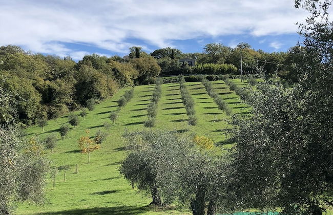 Agriturismo Poggio del Drago - Photo 24